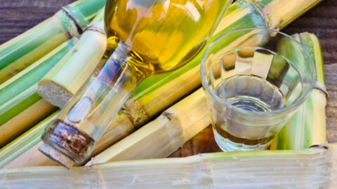 South American Liquor: 17 Drinks From Across the Continent in 2026