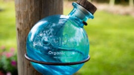 10 Best Organic Vodka Brands to Drink