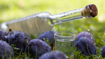 Plum brandy brand bottle and shot glass with fresh and ripe plums, grassy background