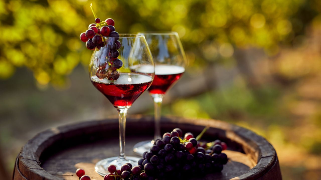 Guide to the 9 Major Types of Red Wine - MyBartender