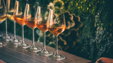 glasses of orange wine lined up