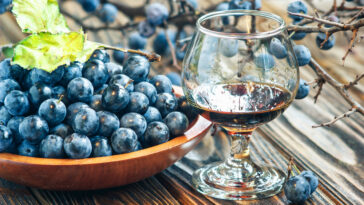 glass of sloe gin with berries
