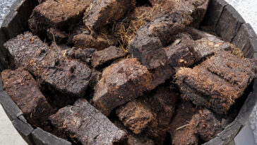 Dried lumps of peat in front of a whisky distillery