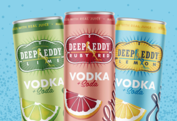 15 Best Canned Vodka Drinks to Try