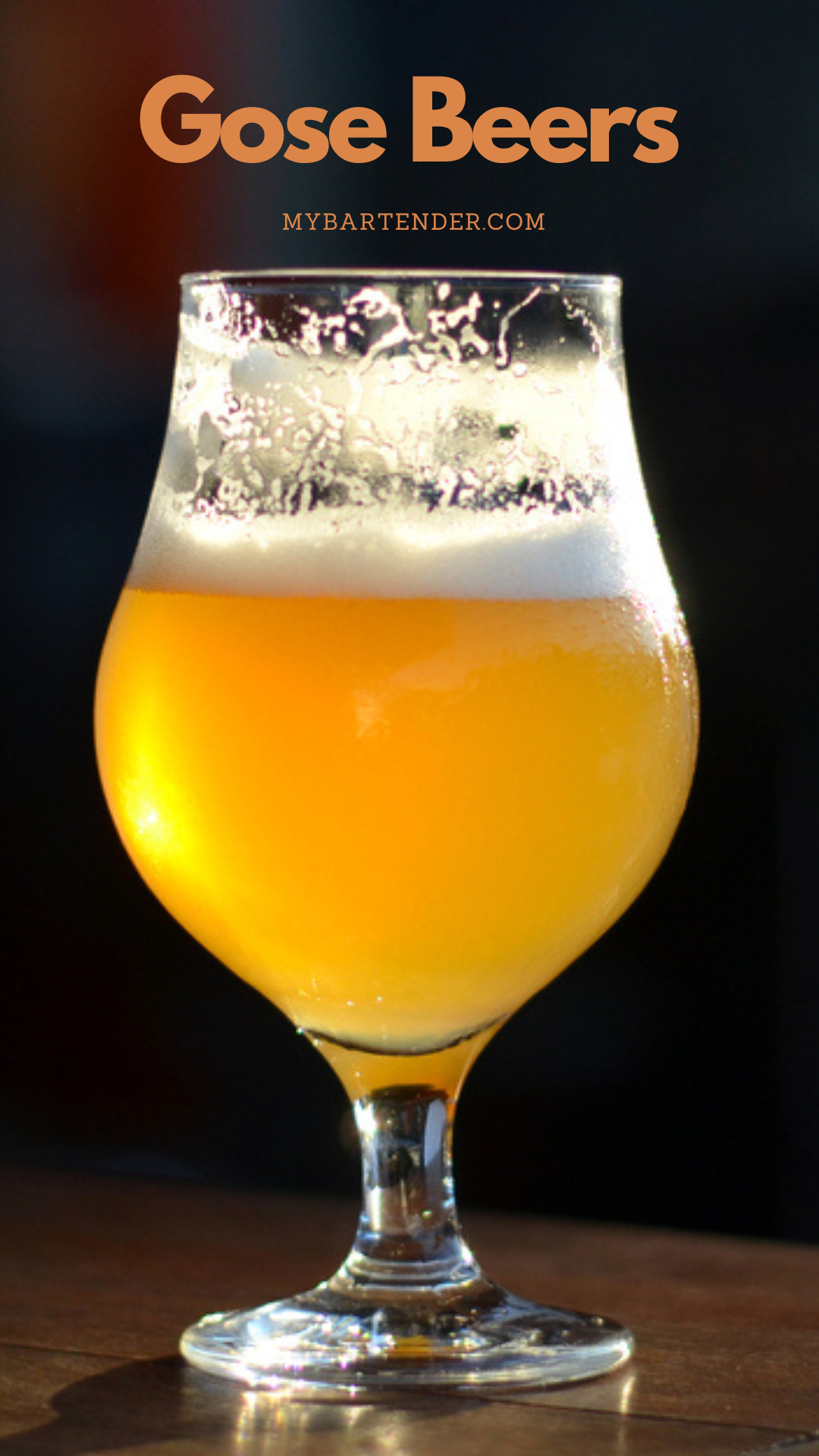 Top 20 Gose Beers to Drink