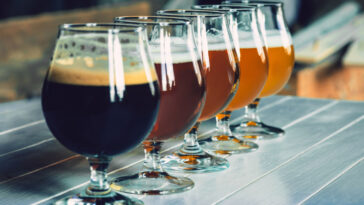 Glasses of trader joe's dark and light beer on wooden table in line.