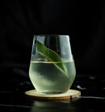 11 Best Clear Cocktails to Try