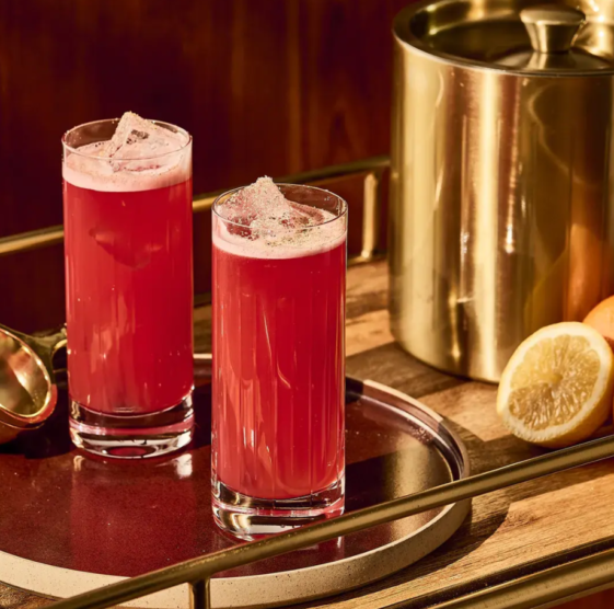 10 Best Tanqueray Cocktails to Drink