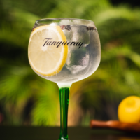 10 Best Tanqueray Cocktails to Drink