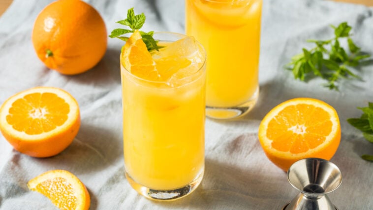 homemade orange crush cocktail with mint and vodka