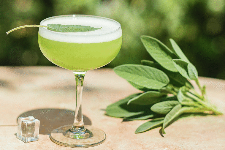 Sage Cocktails