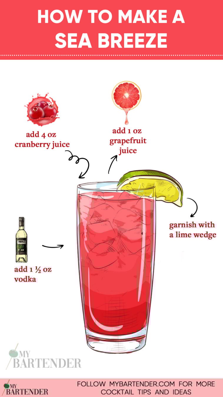 Sea Breeze Cocktail Recipe How To Make A Sea Breeze 758x1348