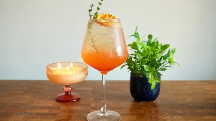Apple Cider Aperol Spritz Pic 18