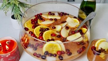 Fireball Thanksgiving Punch Pic 9