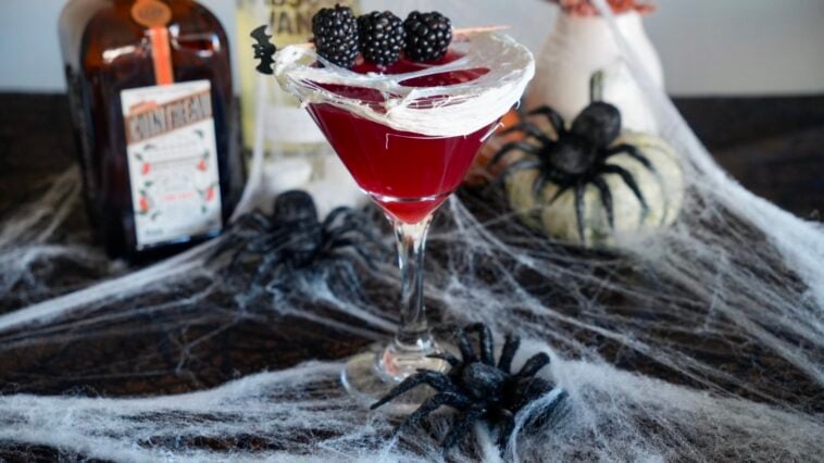 Blackberry Widow's Kiss