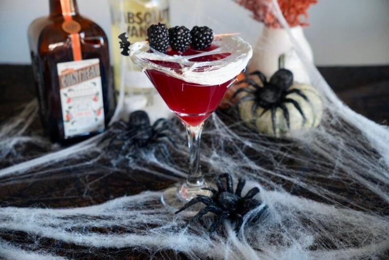 Blackberry Widow's Kiss 1 Blackberry Widow's Kiss