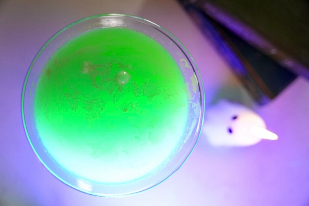 Ghostbusters Martini Pic 5