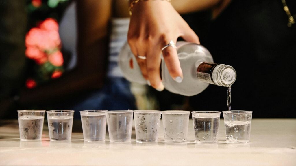 The Top 50 Vodka Brands Ranked 52 Vodka Brands