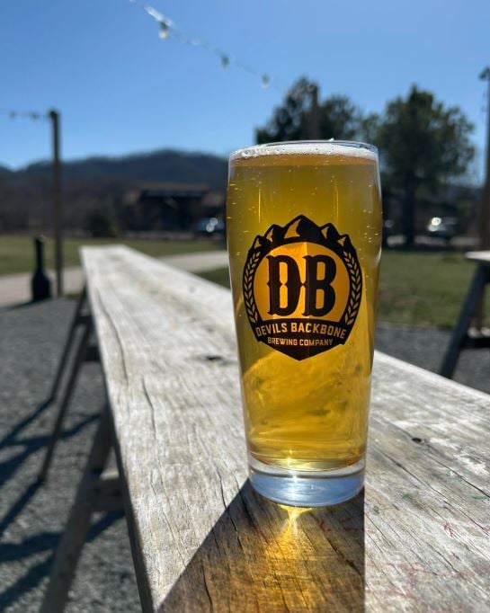 Devils Backbone Brewing Company