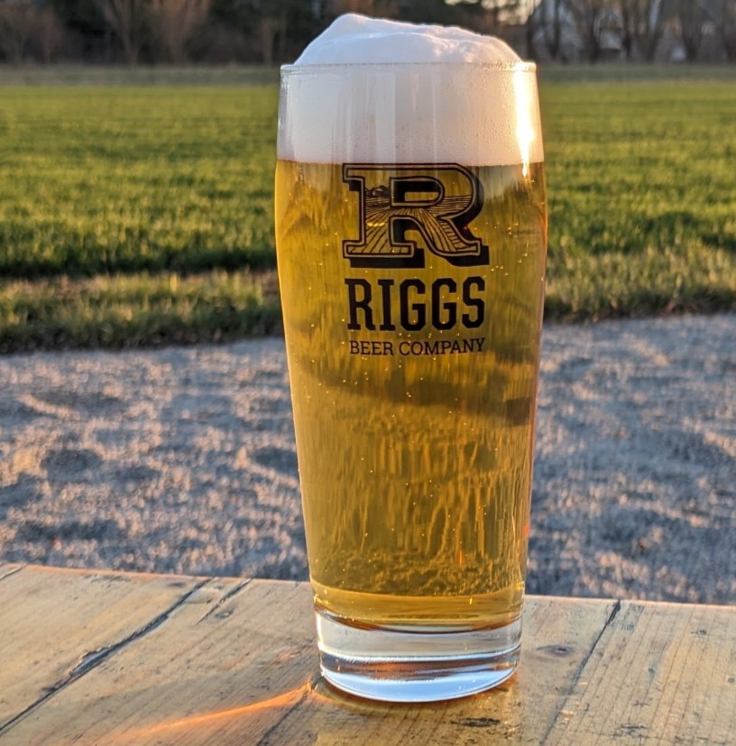 The Top 30 Breweries in Illinois Ranked 11 Riggs Beer Company