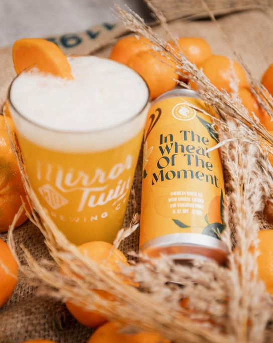 Mirror Twin Brewing