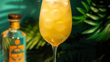 Bacan-Guaro-Lychee