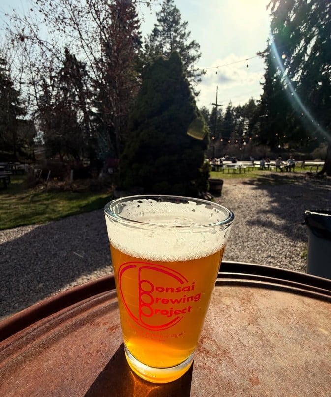 Bonsai Brewing Project