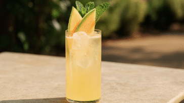 Cantaloupe Mojito