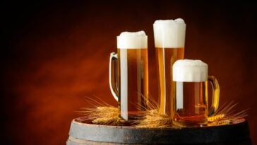 top 30 breweries in minnesota