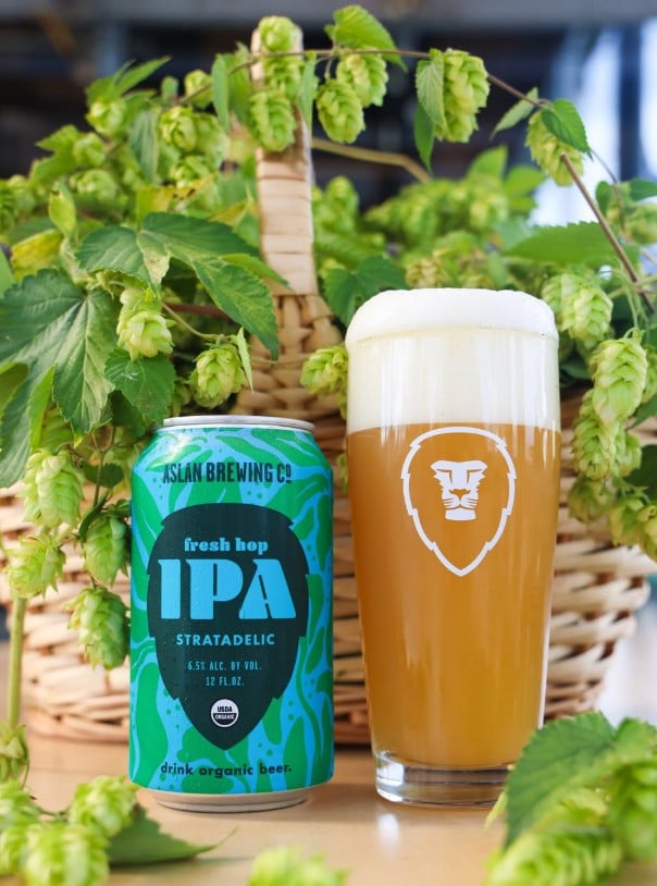 Aslan Brewing