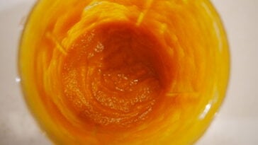 Butternut Squash Puree Pic 8