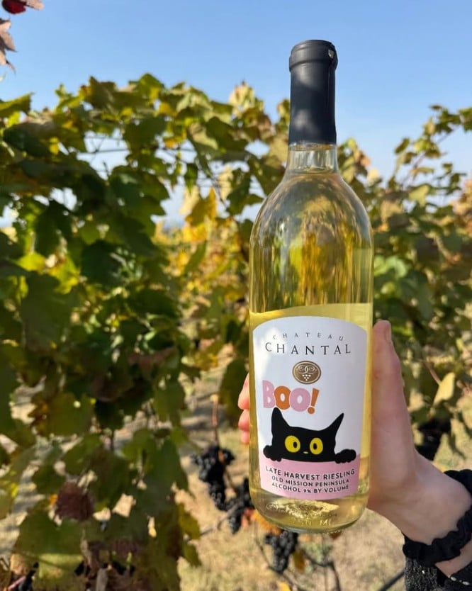 The Top 30 Wineries in Michigan 30 Chateau Chantal Winery
