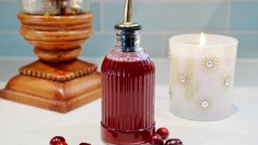 Spiced Cranberry Simple Syrup Pic 8