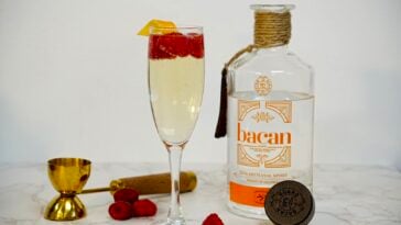 Guaro Fizz 9 Guaro Fizz Pic 14