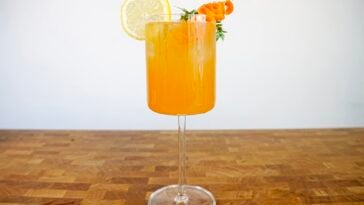 Carrot Garden Spritz Pic 26