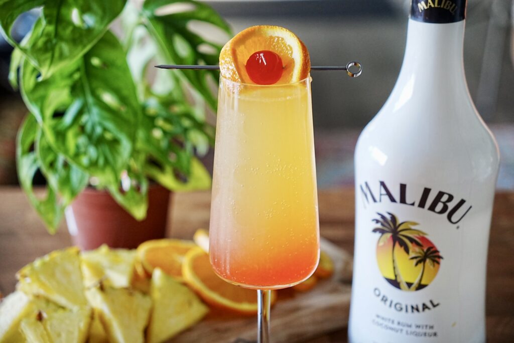 Bahama Mama Mimosa 6 Bahama Mama Mimosa Pic 12 1