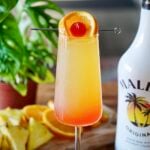 Bahama Mama Mimosa 11 Bahama Mama Mimosa Pic 12