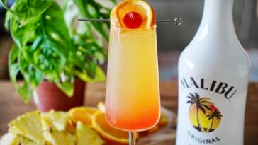 Bahama Mama Mimosa Pic 12