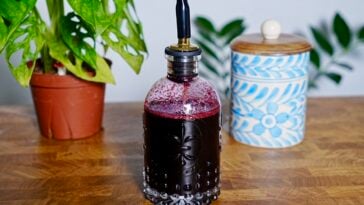 Blueberry Simple Syrup Pic 12