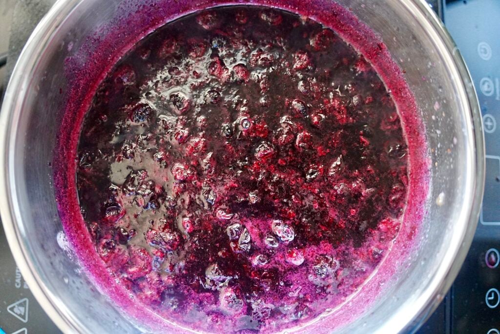 Blueberry Simple Syrup 5 Blueberry Simple Syrup Pic 8