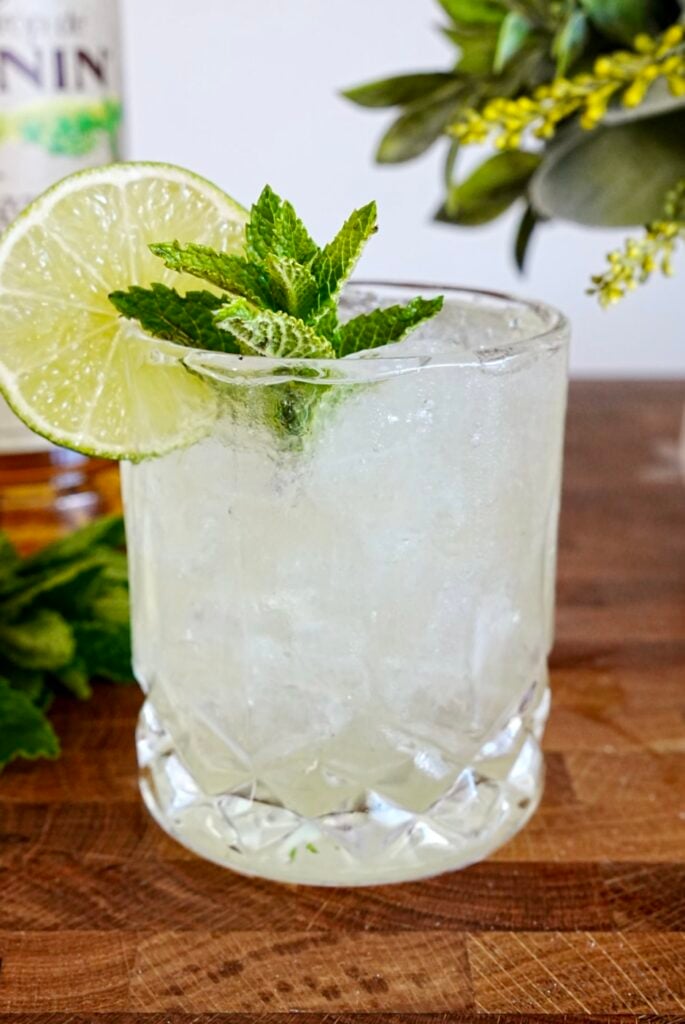 Tequila Julep 3 Tequila Julep Pic 11