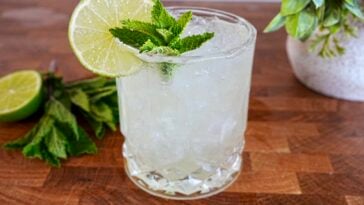 Tequila Julep Pic 12