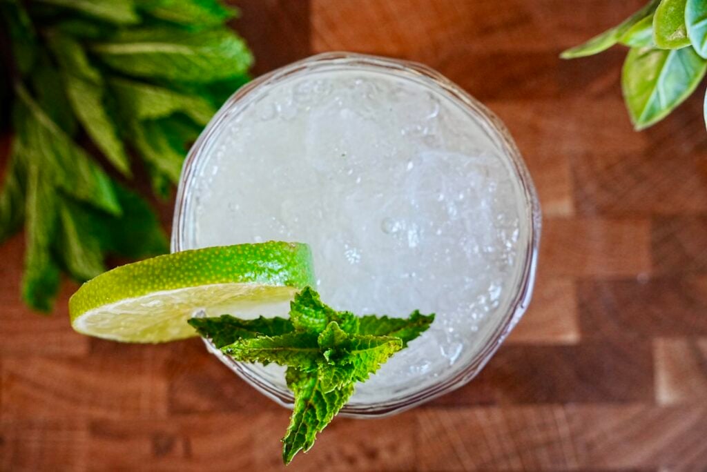 Tequila Julep 2 Tequila Julep Pic 13