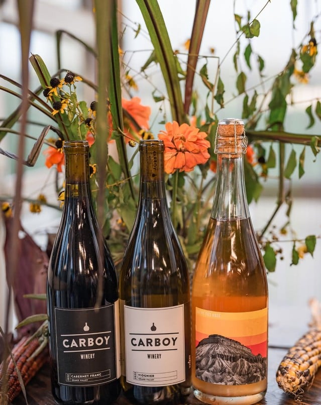 The Top 30 Wineries in Colorado Revealed 25 Carboy Winery