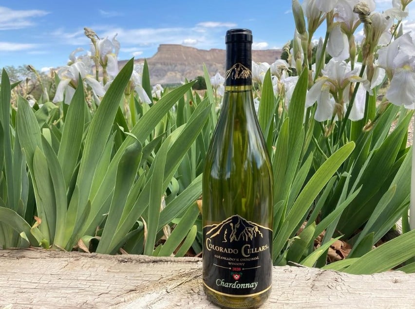 The Top 30 Wineries in Colorado Revealed 9 Colorado Cellars Winery