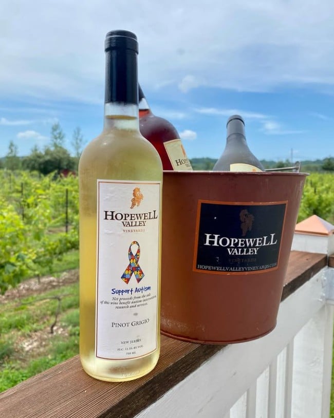 The Top 30 Wineries in New Jersey Ranked 8 Hopewell Valley Vineyards