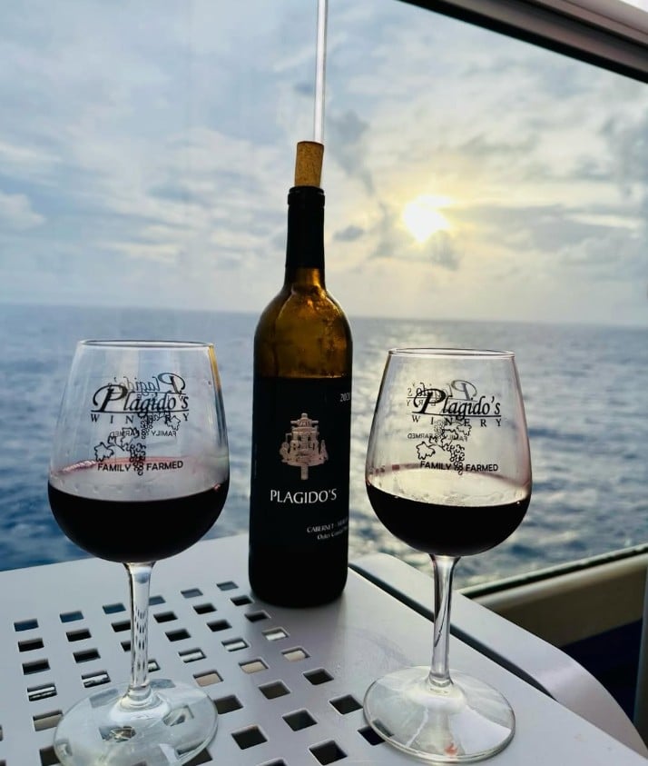 The Top 30 Wineries in New Jersey Ranked 12 Plagido's Winery