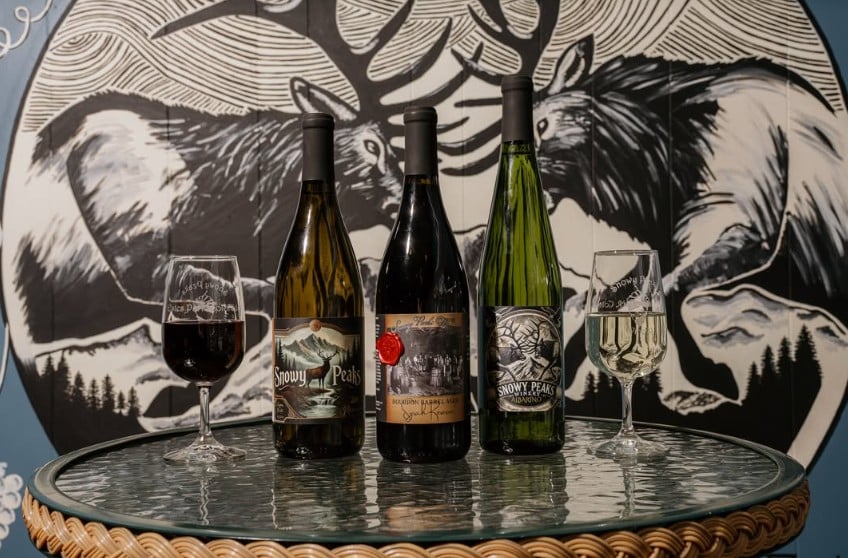 The Top 30 Wineries in Colorado Revealed 26 Snowy Peaks Winery