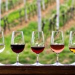 The Top 30 Wineries in Colorado Revealed 38 The Top 30 Wineries in Colorado Ranked