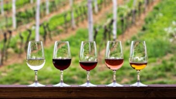 The Top 30 Wineries in Colorado Ranked
